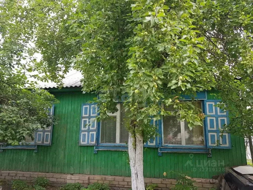 Дом в Курганская область, Каргапольский муниципальный округ, с. ... - Фото 1