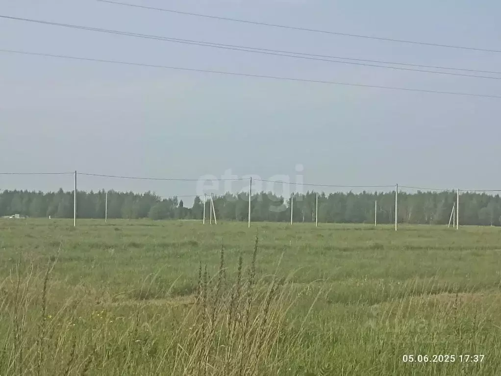 Участок в Костромская область, Кострома  (10.09 сот.) - Фото 2