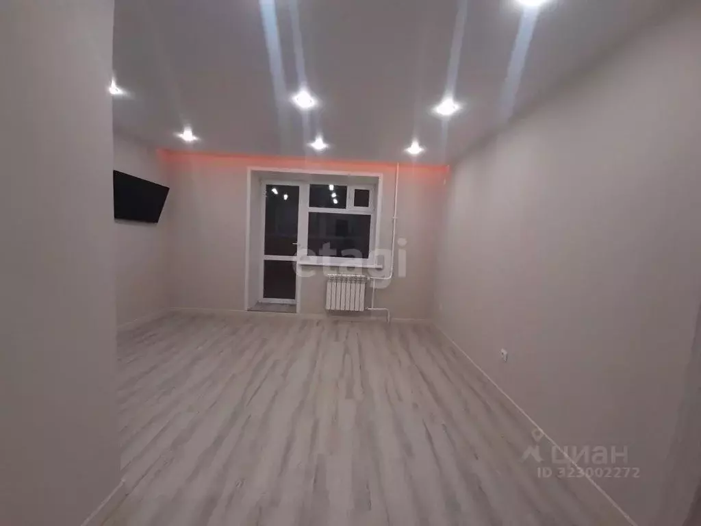 Студия Амурская область, Благовещенский район, с. Чигири ул. ... - Фото 1