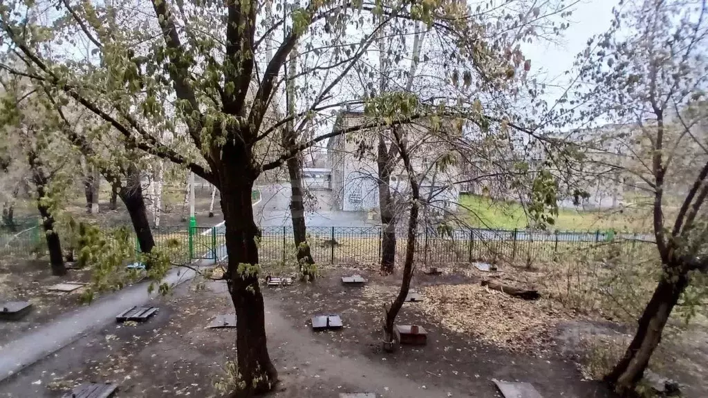 1-к кв. Новосибирская область, Новосибирск ул. Титова, 43/1 (28.7 м) - Фото 0