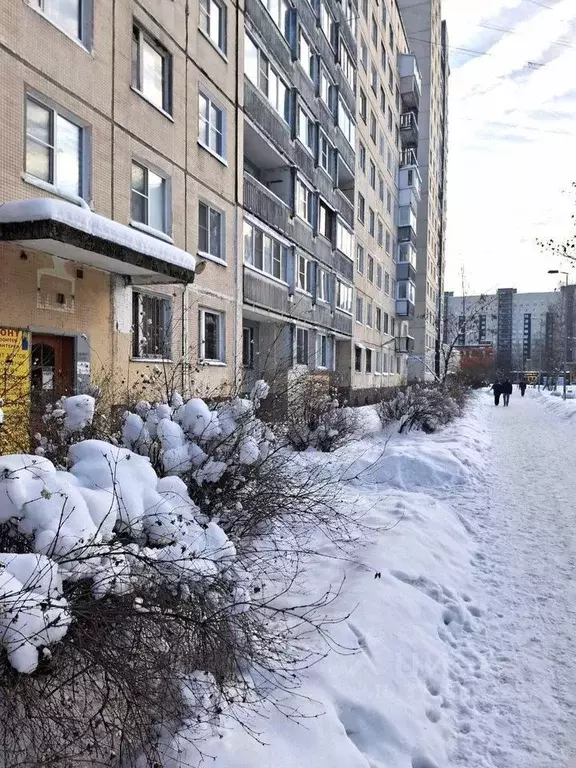 Помещение свободного назначения в Санкт-Петербург просп. Косыгина, ... - Фото 1