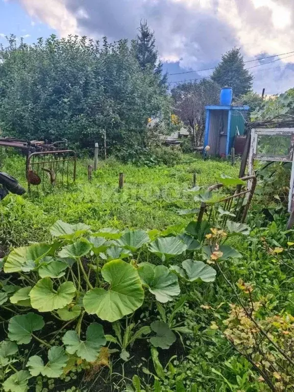 Участок в Новосибирская область, Новосибирск Новая Сибирь СНТ,  (7.0 ... - Фото 2