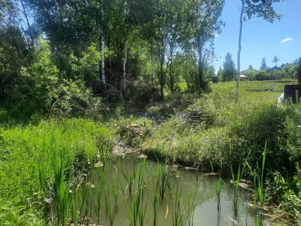 Участок в Нижегородская область, Богородский муниципальный округ, ... - Фото 1