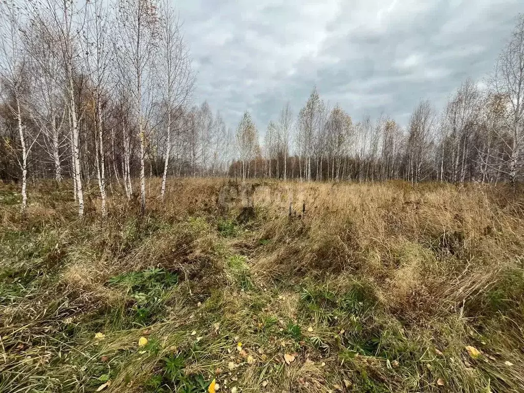 Участок в Новосибирская область, Новосибирский район, Плотниковский ... - Фото 1