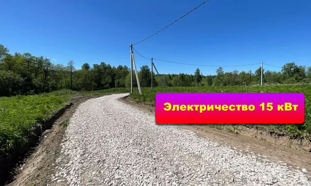 Участок в Тульская область, Заокский район, Демидовское с/пос, с. ... - Фото 2