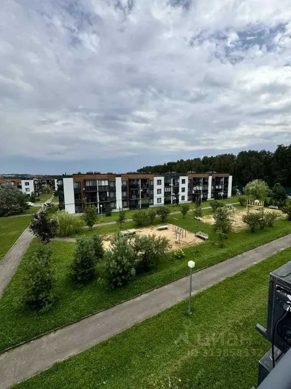 3-к кв. Московская область, Истра муниципальный округ, д. Красный ... - Фото 2