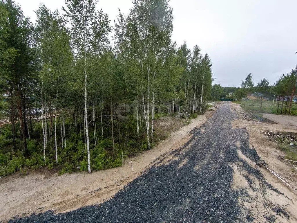 Участок в Тюменская область, Тюмень ул. Рублевская (10.0 сот.) - Фото 1