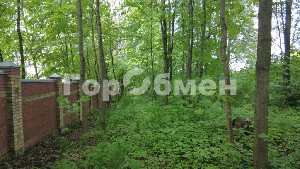 Продается участок в г. Истра - Фото 1