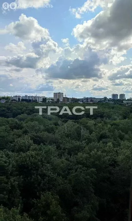 1-комнатная квартира: Воронеж, улица Берёзовая Роща, 24 (33.7 м) - Фото 0