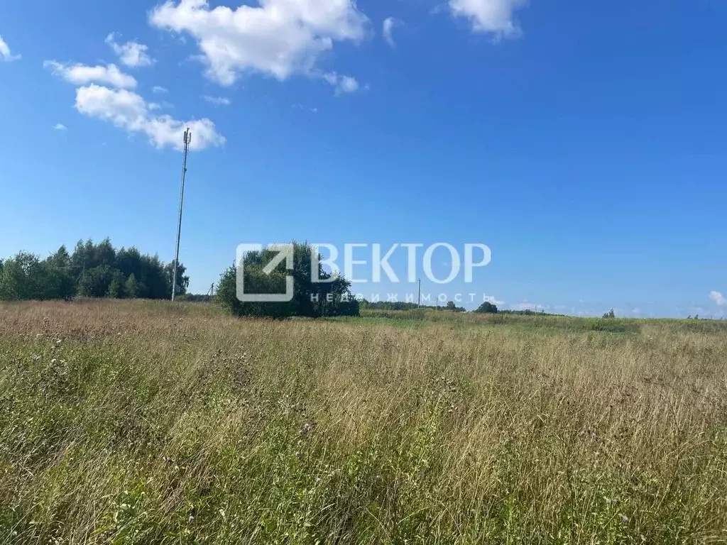 Участок в Костромская область, Костромской район, Шунгенское с/пос, д. ... - Фото 1