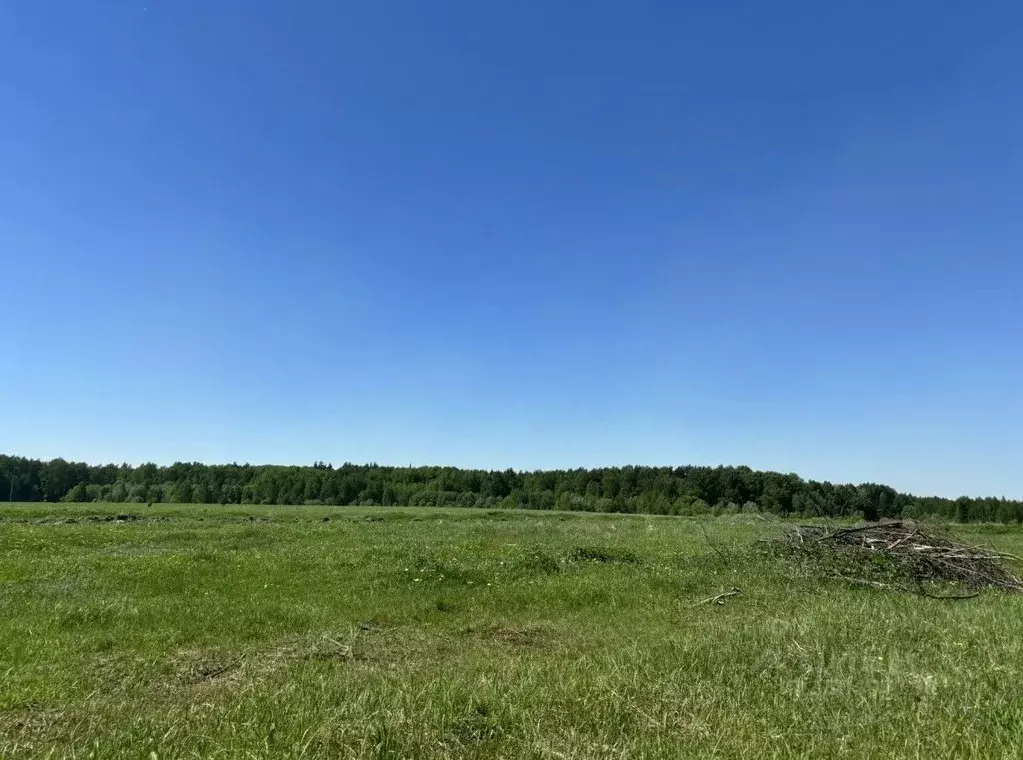 Участок в Московская область, Павлово-Посадский городской округ, д. ... - Фото 2