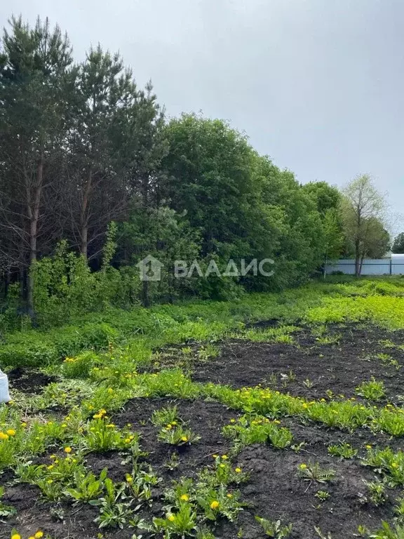 Участок в Кемеровская область, Кемеровский муниципальный округ, д. ... - Фото 1