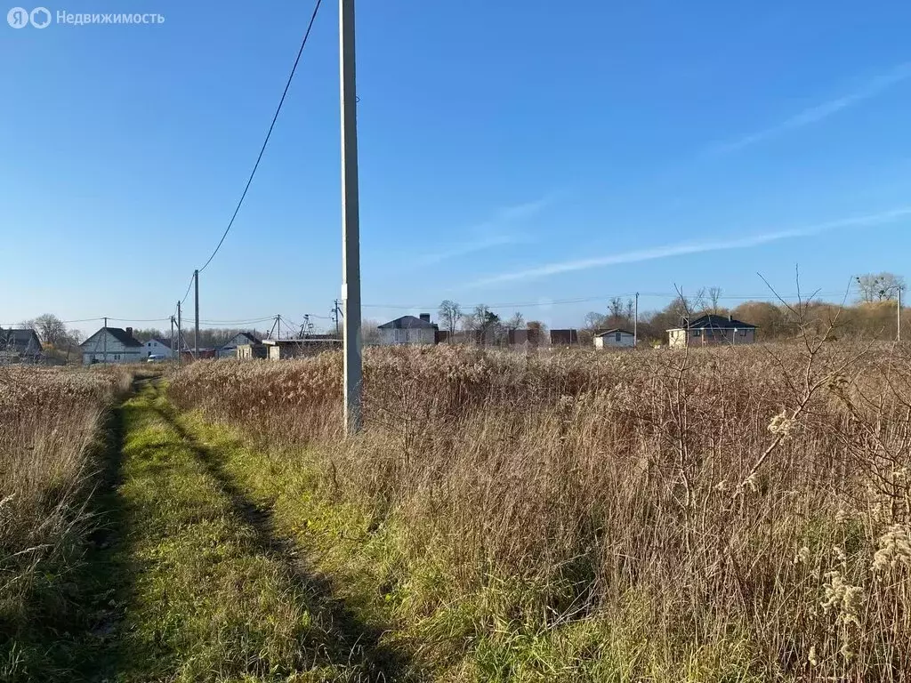 Участок в Калининградская область, Гурьевский муниципальный округ, ... - Фото 1