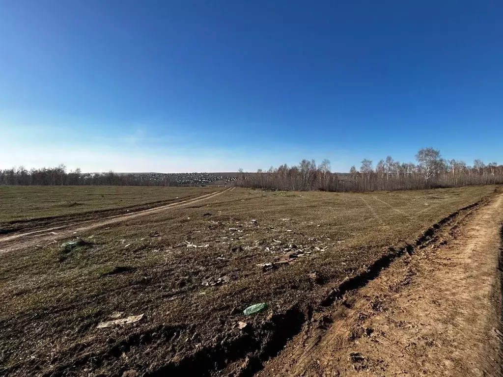 Участок в Иркутская область, Иркутский муниципальный округ, д. ... - Фото 2