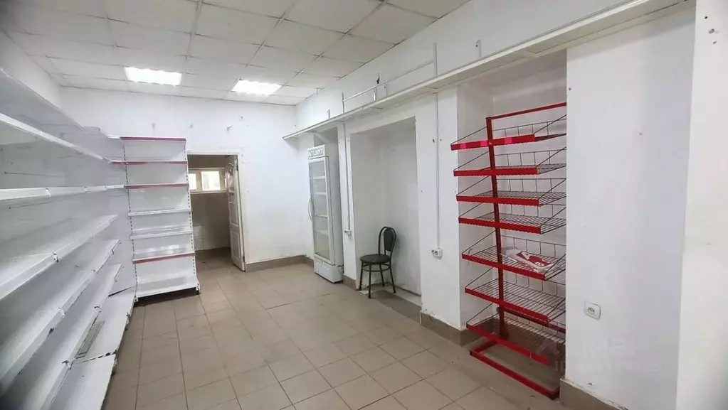 Помещение свободного назначения в Краснодарский край, Анапа Гребенская ... - Фото 2