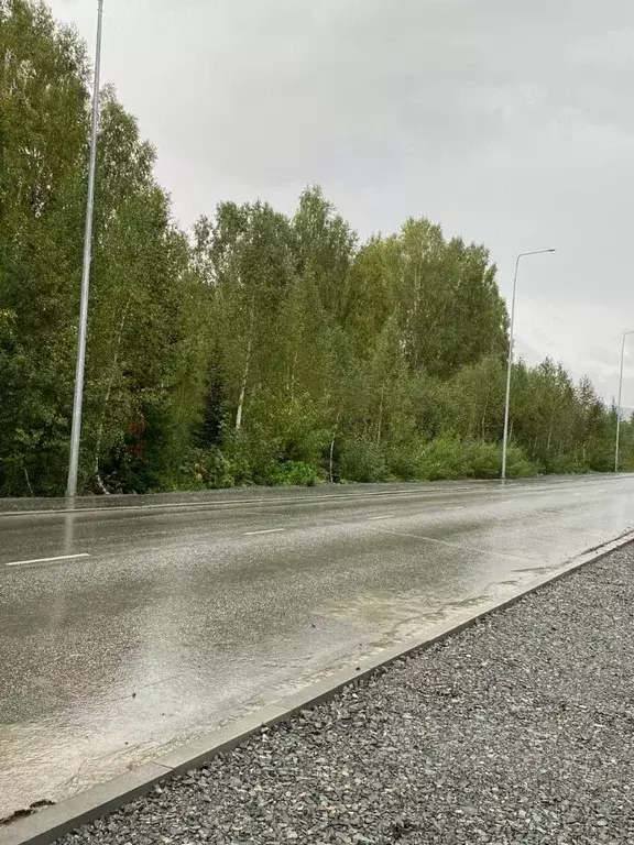 Участок в Кемеровская область, Таштагольский район, Шерегешское ... - Фото 0