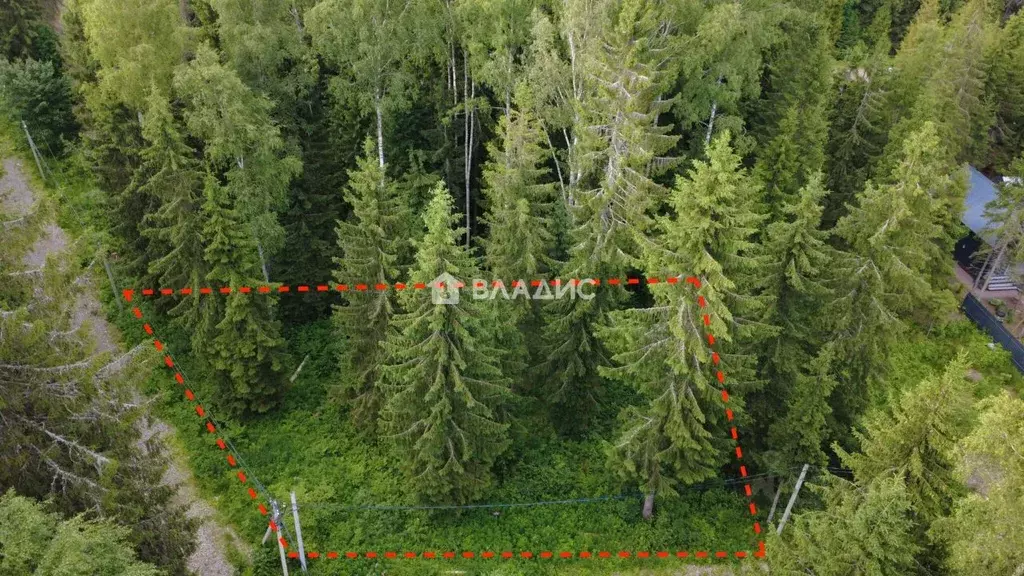 Участок в Ленинградская область, Ломоносовский район, Лопухинское ... - Фото 1