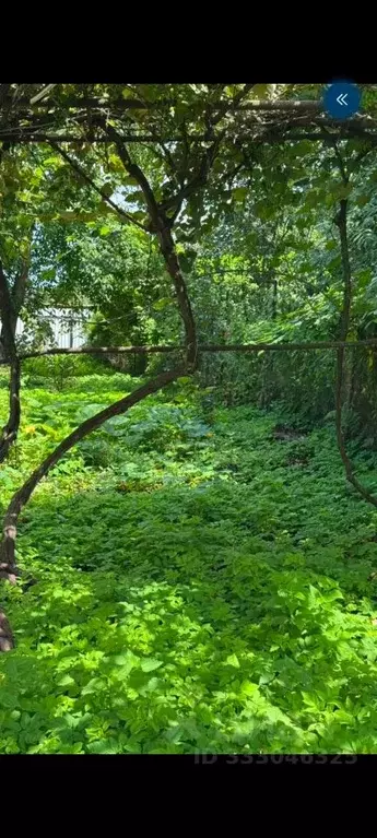 Участок в Северная Осетия, Владикавказ Дружба садовое товарищество, ... - Фото 2