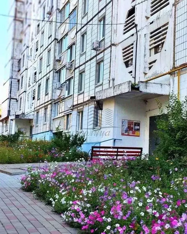 2-к кв. Белгородская область, Белгород ул. Губкина, 13 (51.0 м) - Фото 2