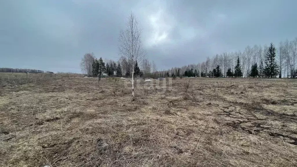 Участок в Башкортостан, Бирский район, Сусловский сельсовет, с. ... - Фото 0