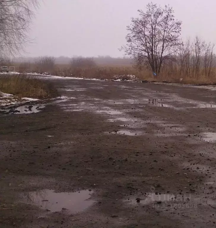 Участок в Тамбовская область, с. Староюрьево ул. Зеленая, 35 (68.0 ... - Фото 1