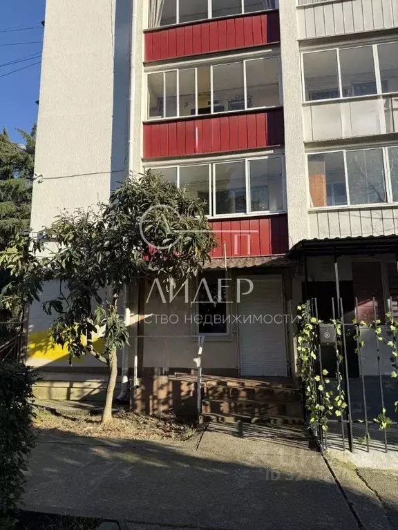 Помещение свободного назначения в Краснодарский край, Сочи ул. ... - Фото 2