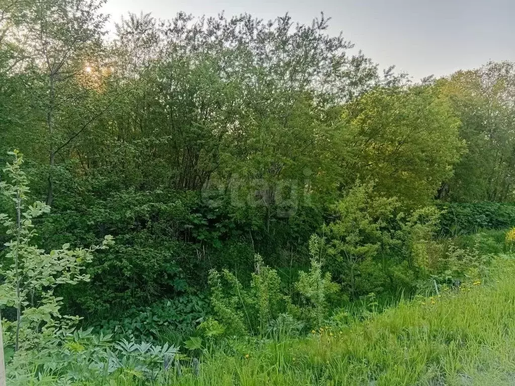 Участок в Сахалинская область, Долинск Парашютная ул. (5.94 сот.) - Фото 0