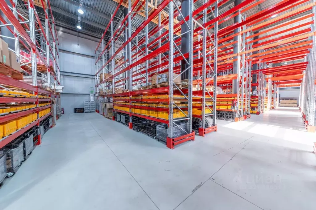 Производственное помещение в Московская область, Истра муниципальный ... - Фото 1