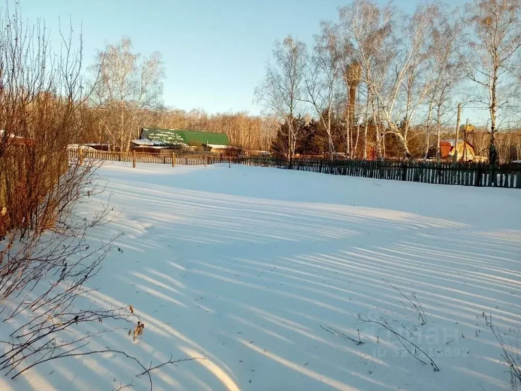 Участок в Омская область, Омский район муниципальный округ, с. ... - Фото 1
