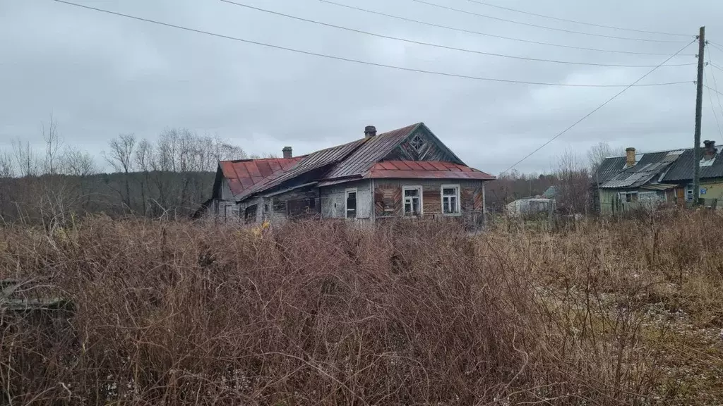 Участок в Карелия, Медвежьегорский муниципальный округ, д. Лумбуши ул. ... - Фото 1