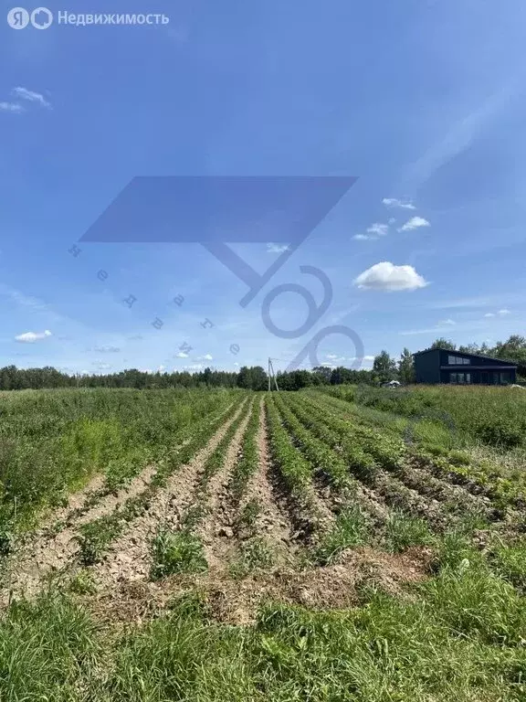 Участок в Нижегородская область, Городецкий муниципальный округ, ... - Фото 0