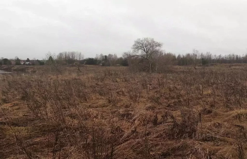 Участок в Московская область, Дмитровский муниципальный округ, д. ... - Фото 1