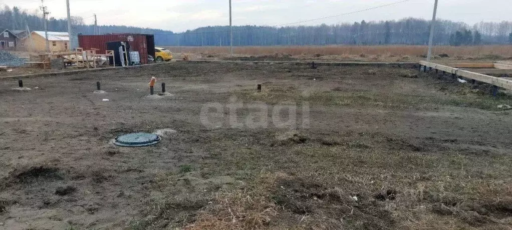 Участок в Новосибирская область, Новосибирский район, Кудряшовский ... - Фото 1