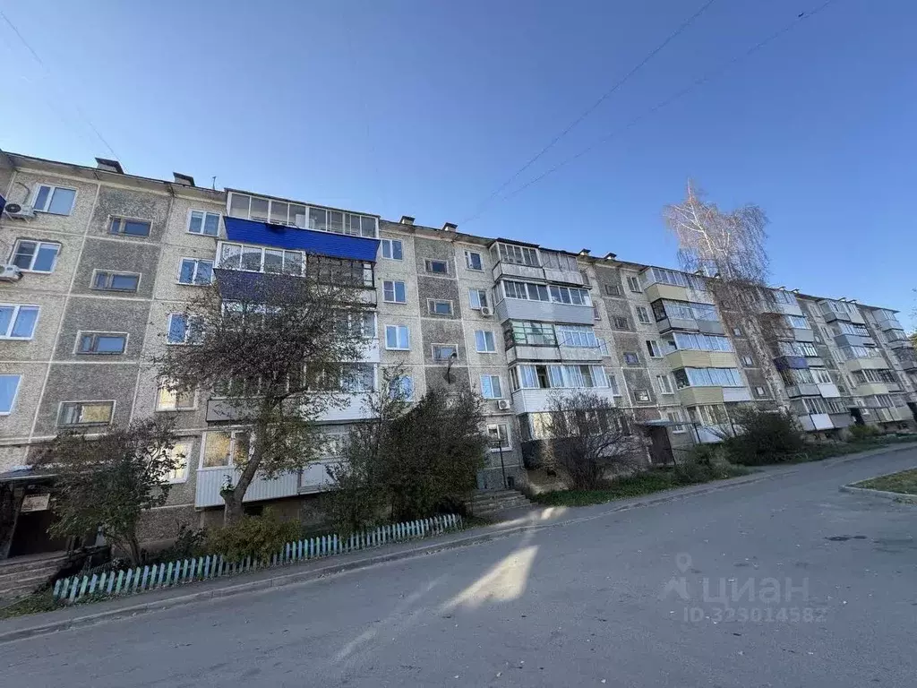 3-к кв. Курганская область, Шадринск ул. Ефремова, 22с1 (47.5 м) - Фото 2