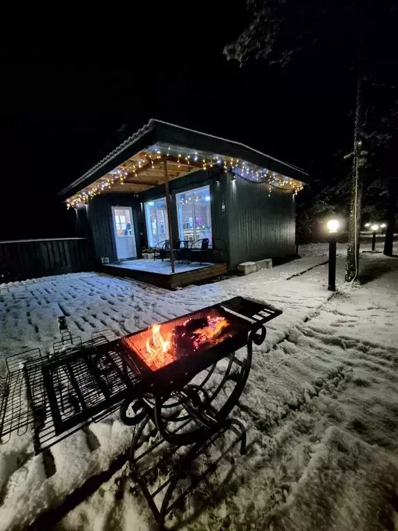 Дом в Архангельская область, Приморский муниципальный округ, Заря ... - Фото 2