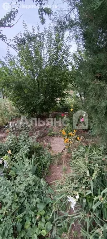 Дом в Каменск-Шахтинский, улица Гагарина (58.6 м) - Фото 2