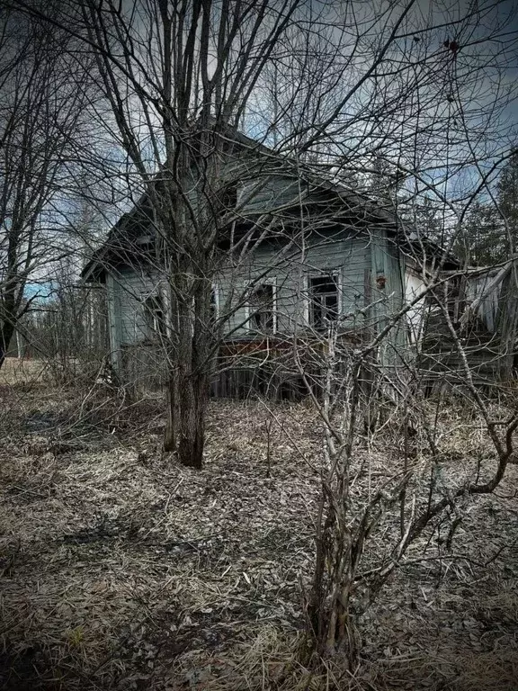 участок в новгородская область, маловишерский район, большевишерское . - Фото 1