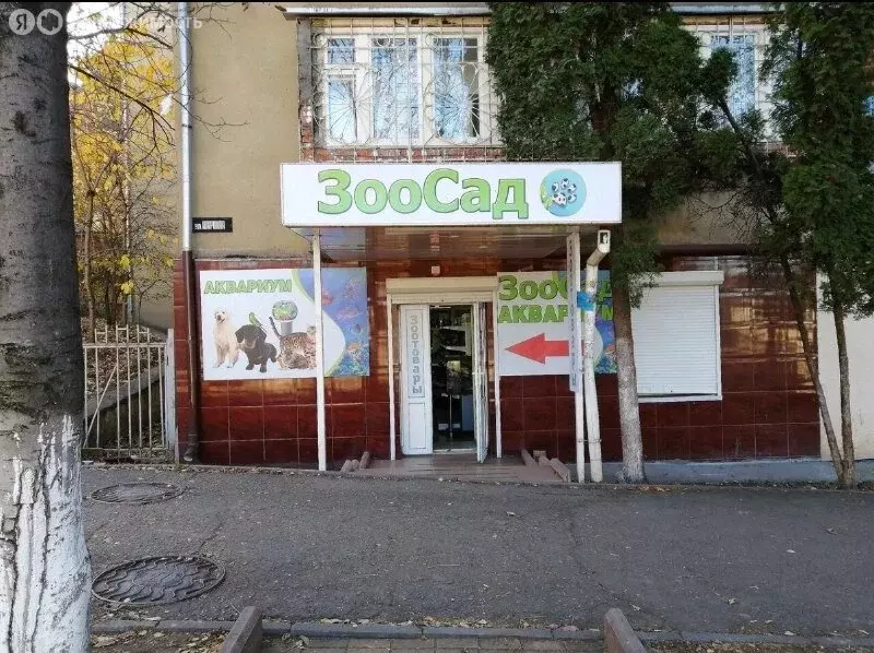 Помещение свободного назначения (85.8 м) - Фото 2