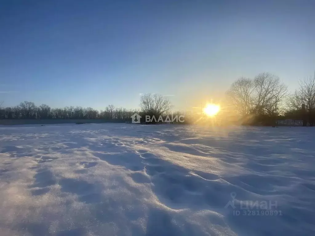 Участок в Московская область, Луховицы муниципальный округ, д. ... - Фото 2