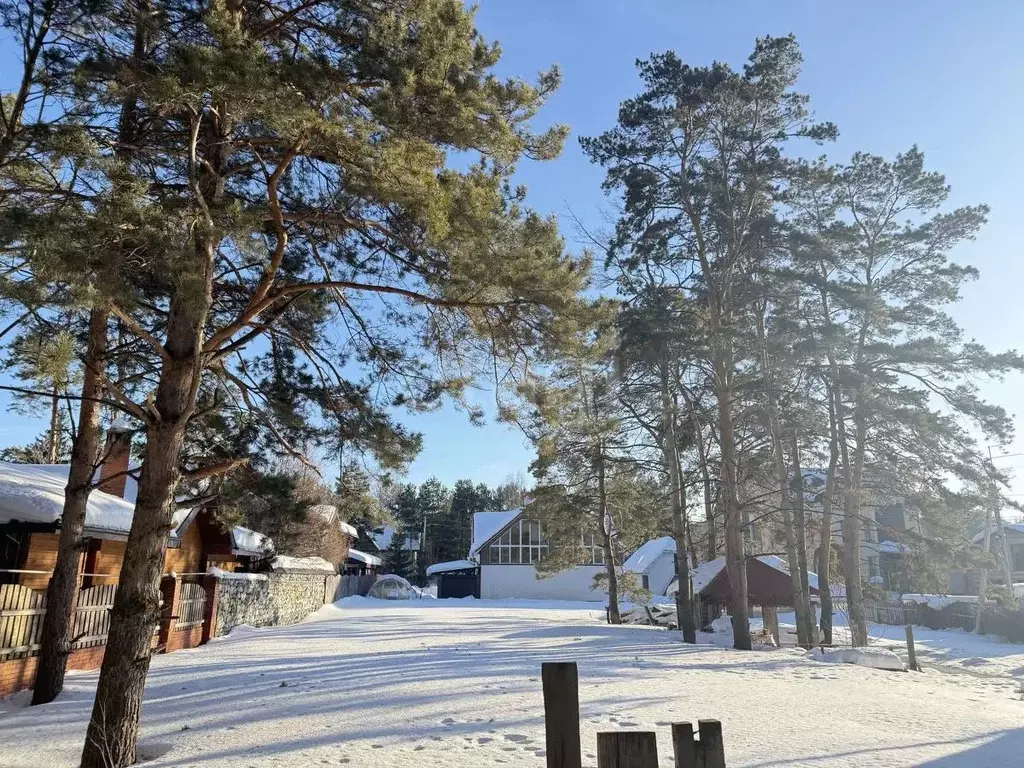 Участок в Новосибирская область, Бердск Бердский санаторий тер.,  ... - Фото 1