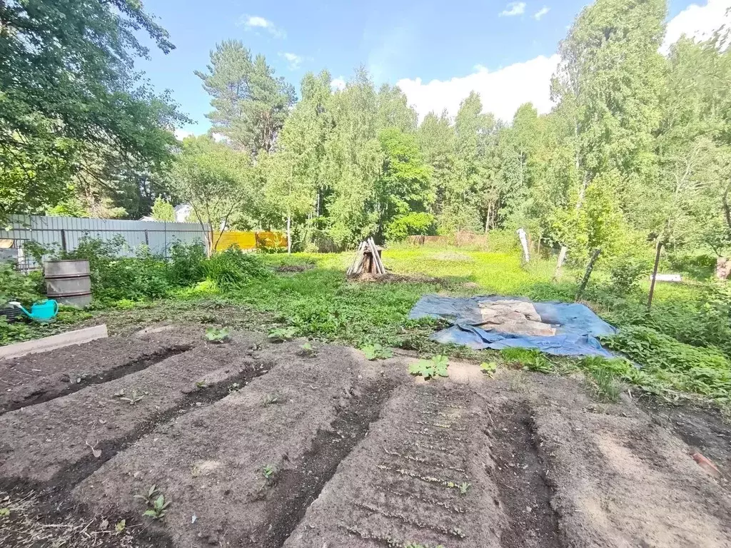 Участок в Московская область, Егорьевск муниципальный округ, д. ... - Фото 2