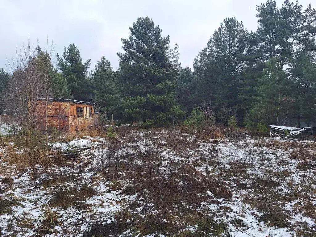 Участок в Московская область, Коломна Старт садовое товарищество, ул. ... - Фото 2