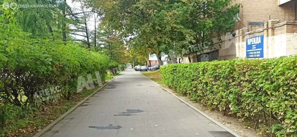 Помещение свободного назначения (780 м) - Фото 1