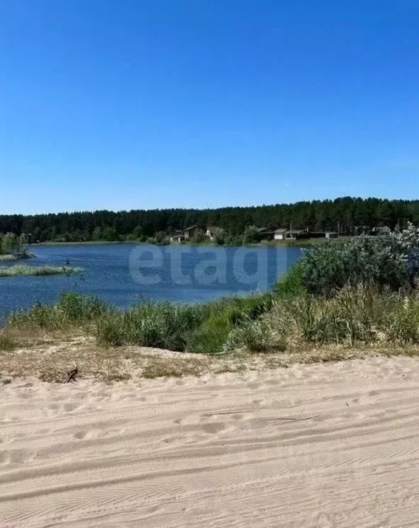 Участок в Брянская область, Сельцо  (6.0 сот.) - Фото 1