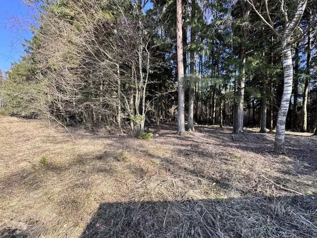 Участок в Московская область, Химки  (9.15 сот.) - Фото 1