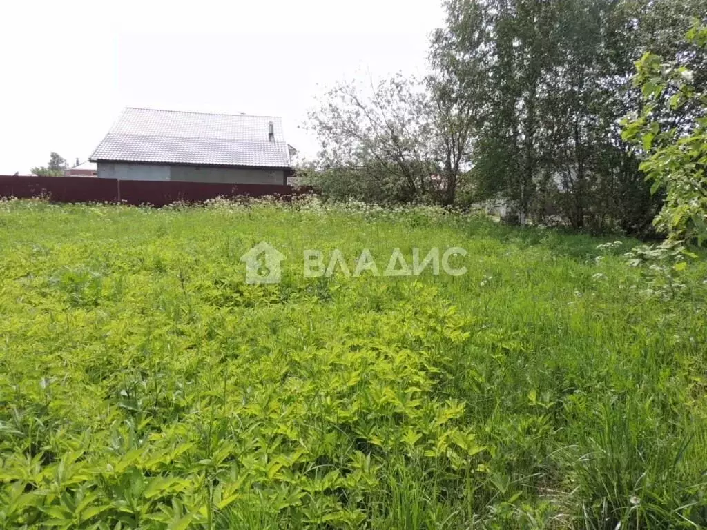 Участок в Владимирская область, Собинский муниципальный округ, д. ... - Фото 2