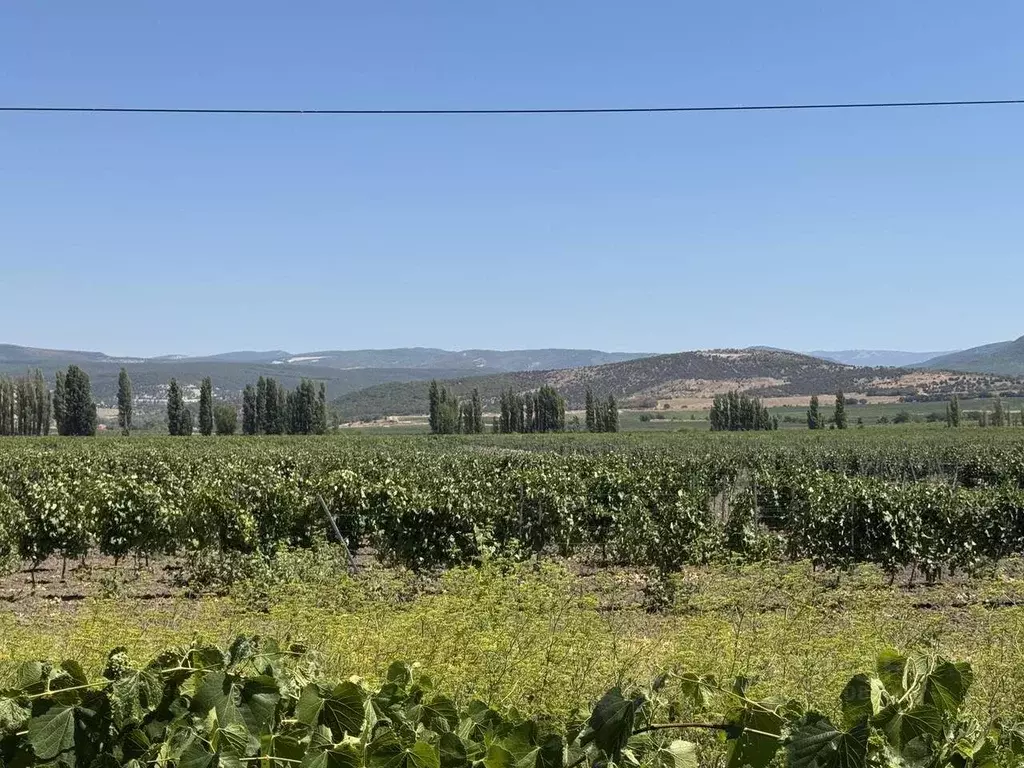 Участок в Севастополь Балаклавский муниципальный округ, с. ... - Фото 2