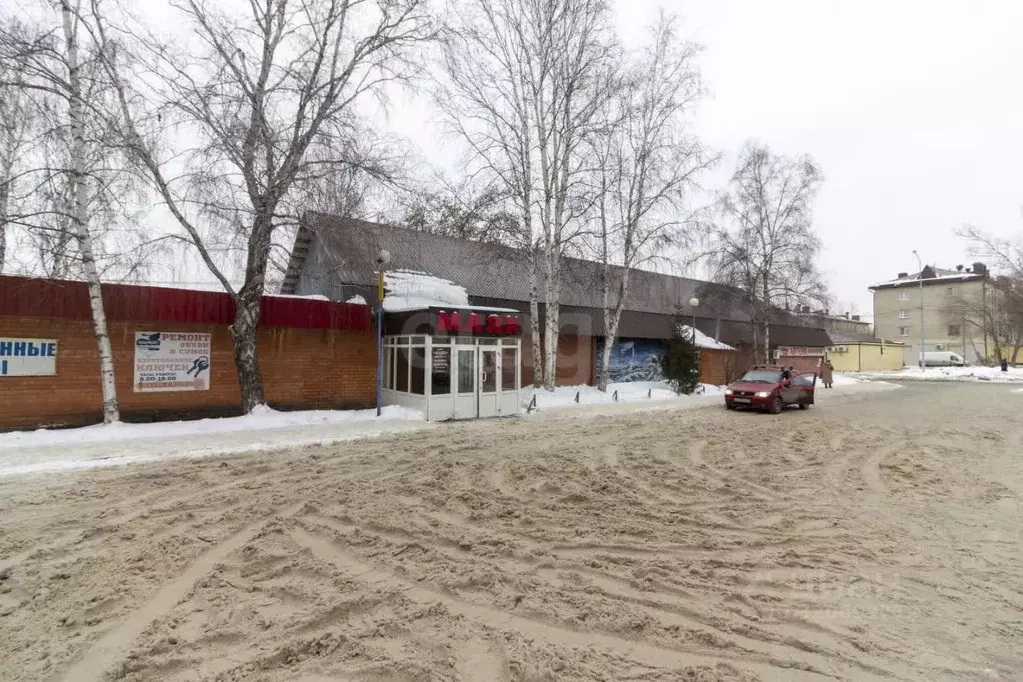 Помещение свободного назначения в Тюменская область, Тюмень ул. ... - Фото 1
