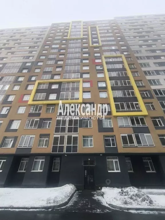 Студия Ленинградская область, Мурино Всеволожский район, просп. ... - Фото 1