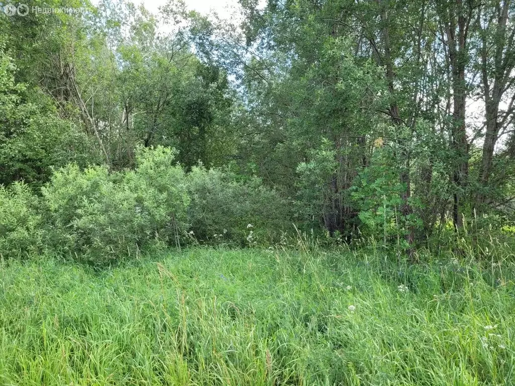 Участок в Псковский район, Ершовская волость, садоводческое ... - Фото 1